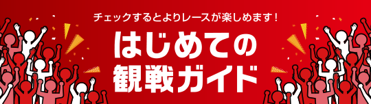 はじめての観戦ガイド